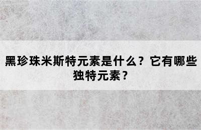 黑珍珠米斯特元素是什么？它有哪些独特元素？