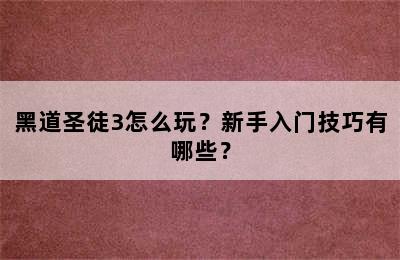 黑道圣徒3怎么玩？新手入门技巧有哪些？