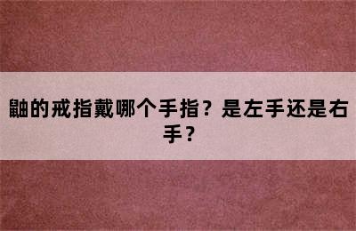 鼬的戒指戴哪个手指？是左手还是右手？