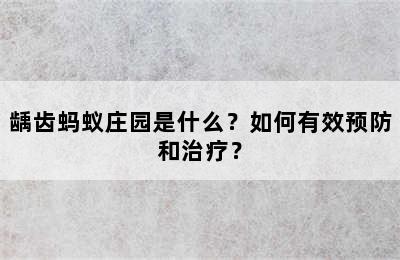 龋齿蚂蚁庄园是什么？如何有效预防和治疗？