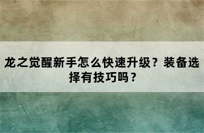 龙之觉醒新手怎么快速升级？装备选择有技巧吗？