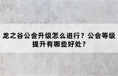 龙之谷公会升级怎么进行？公会等级提升有哪些好处？