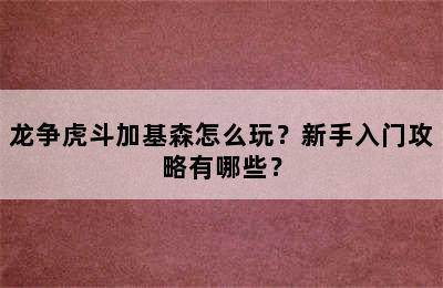 龙争虎斗加基森怎么玩？新手入门攻略有哪些？