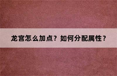 龙宫怎么加点？如何分配属性？