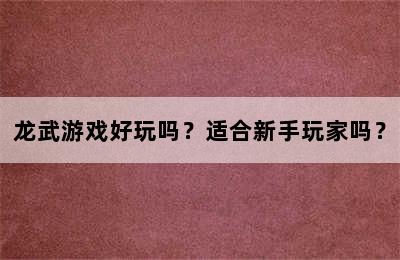 龙武游戏好玩吗？适合新手玩家吗？