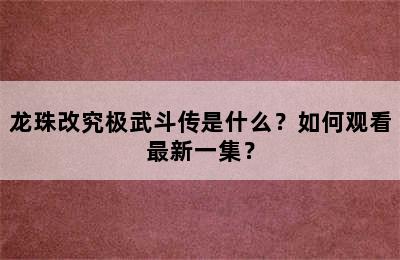 龙珠改究极武斗传是什么？如何观看最新一集？