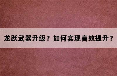 龙跃武器升级？如何实现高效提升？