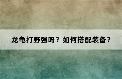 龙龟打野强吗？如何搭配装备？